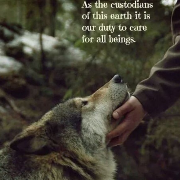 Meet your Posher, Karla Alphawolf - Picture 2 of 8